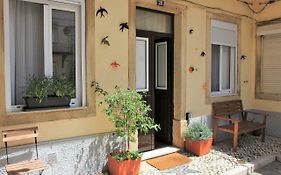 The Back Street Nest